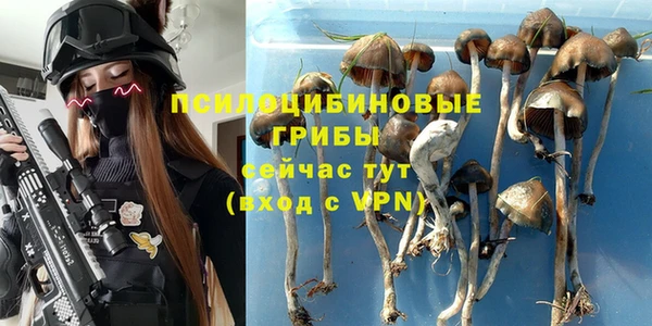 spice Алексеевка