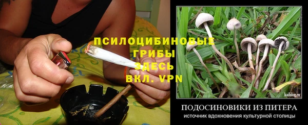 spice Алексин