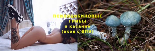 spice Алексеевка